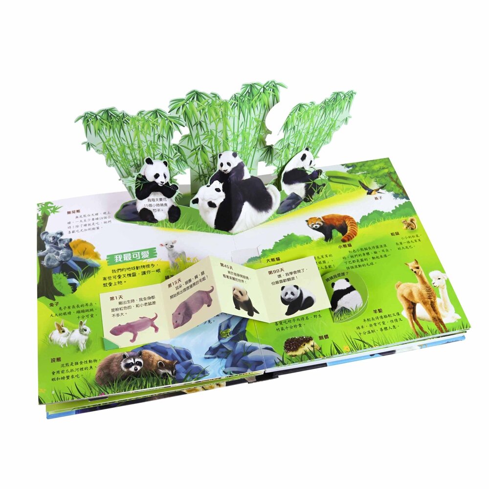 媽媽買 3D立體有聲書 華碩文化 有聲書 厚紙書 立體書 4