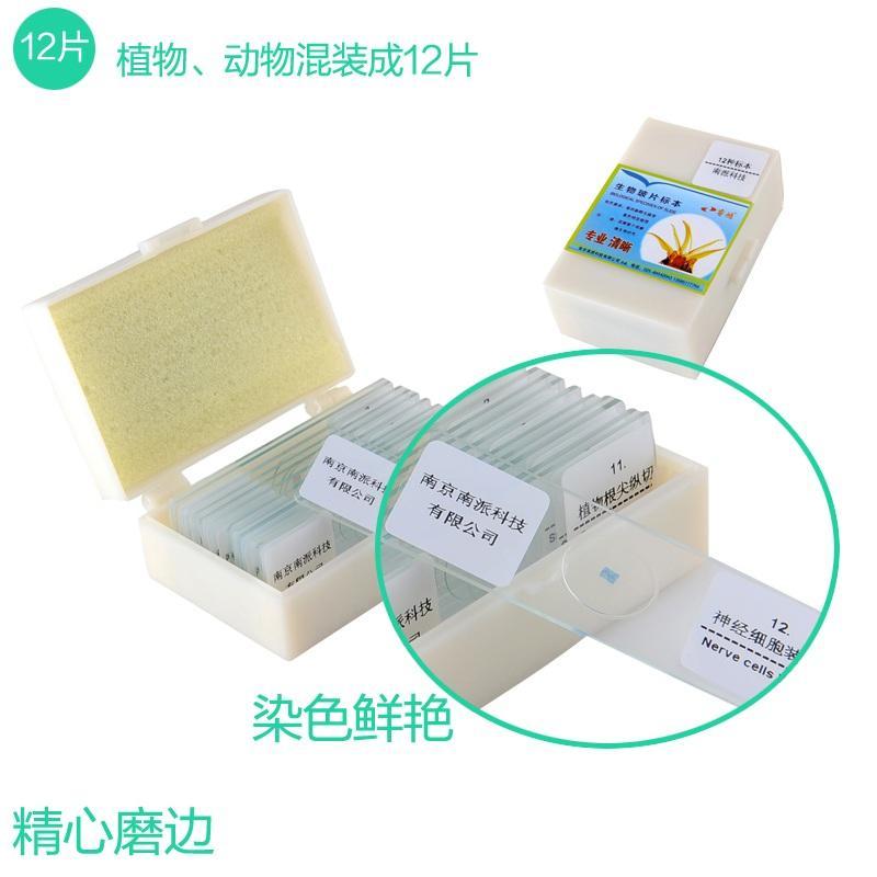 【台灣公司 超低價】睿鴻生物顯微鏡標本切片動物植物細胞載玻片實驗學生小學科學新款 4