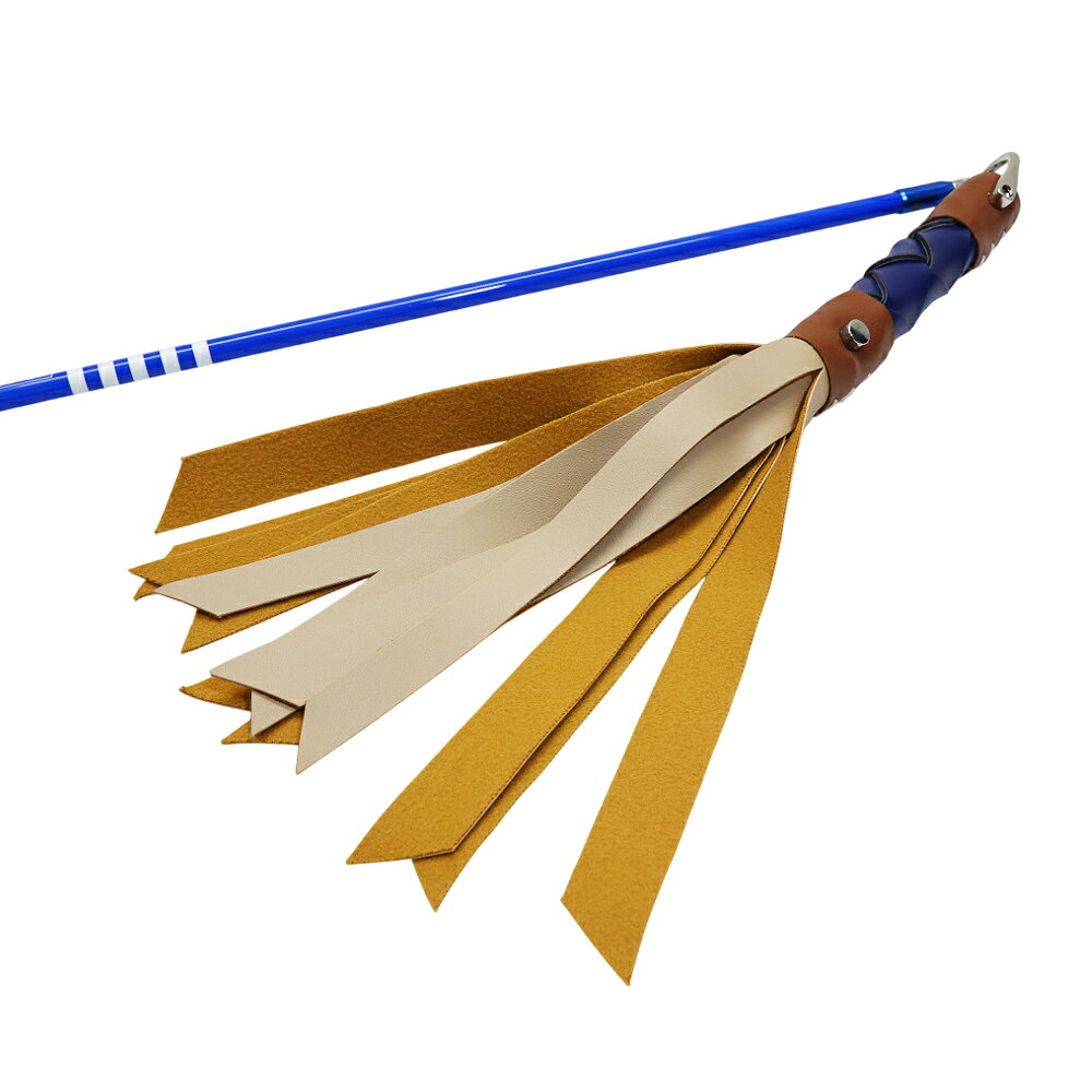 【RookieRookie】距離練習鞭 Distance Whip 高爾夫 長桿訓練 揮速訓練 速度訓練 韓國原廠代理正品【正元精密】