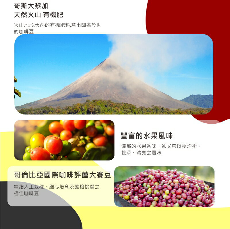 哥斯大黎加國寶濾掛咖啡 Costa Rica Tournon Tarrazu | DALLYN世界嚴選莊園 ★滿299元超取免運 , 滿1500元店家宅配免運★ 6