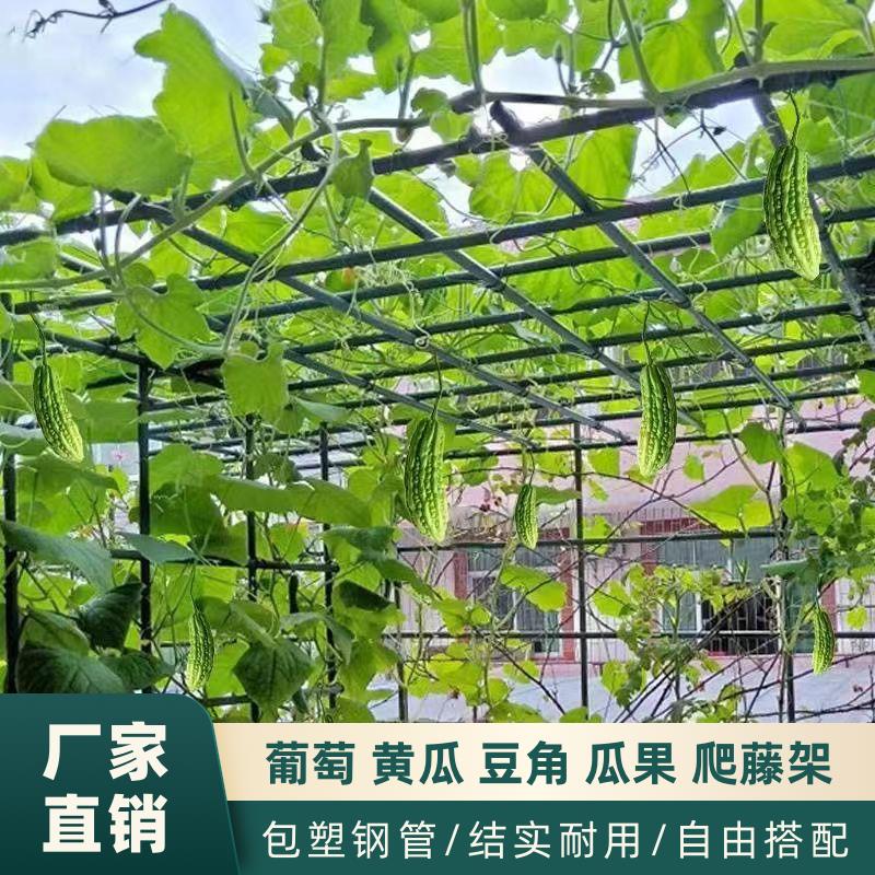 爬藤架 【1469人收藏】戶外庭院葡萄架組裝支架百香果苦瓜攀爬架鐵藝棚架陽臺植物爬藤架