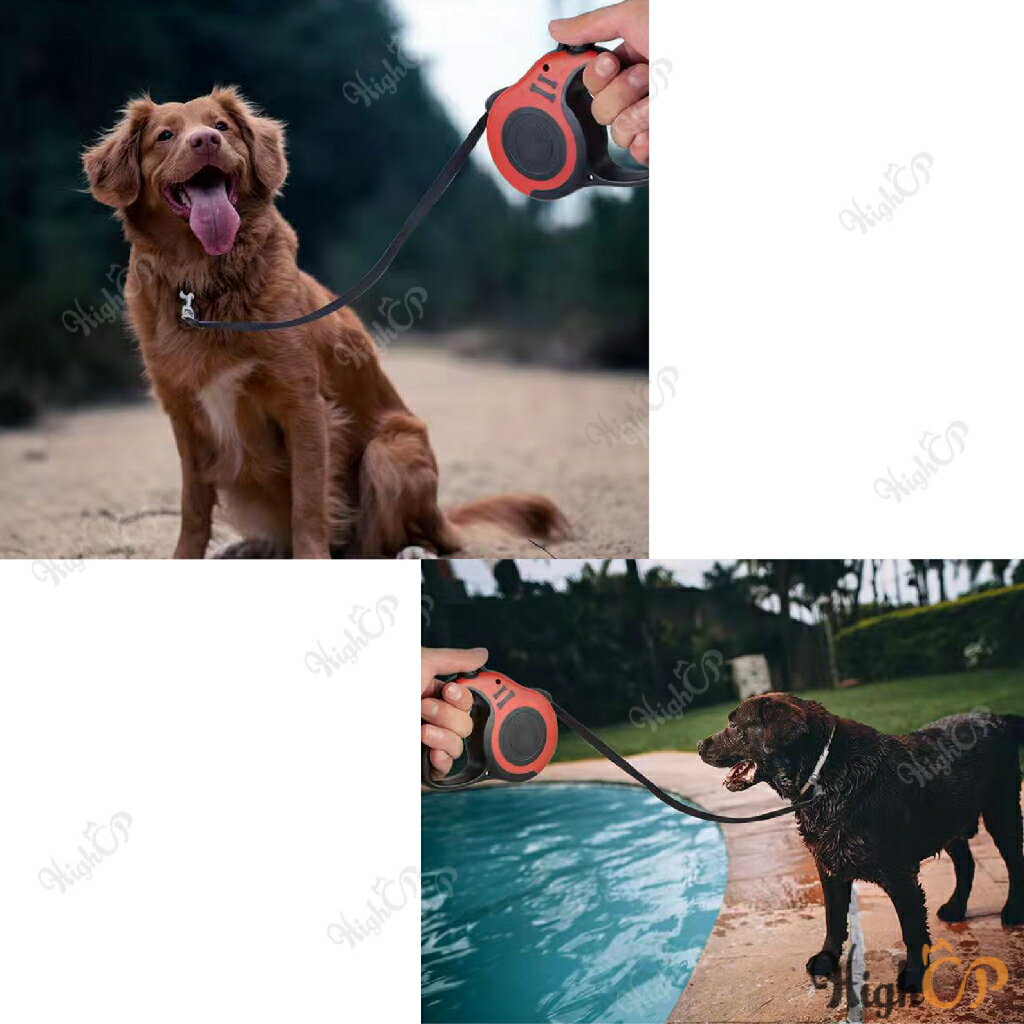 5米 寵物自動伸縮牽引繩 寵物牽繩 伸縮牽繩 伸縮狗繩 自動牽引繩 外出繩 伸縮繩 伸縮拉繩【23030129】 8