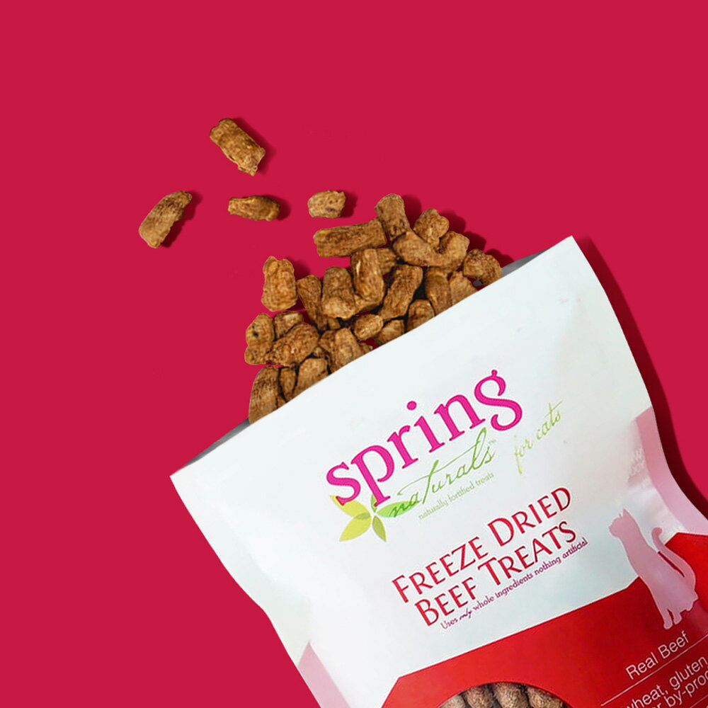 【Spring Naturals 曙光】牛肉 全齡貓點心 冷凍乾燥 無穀 單一肉類 美國製造 凍乾點心 2.1oz 1