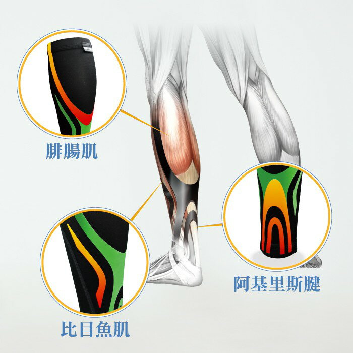 超薄貼紮小腿套-1雙 【BodyVine巴迪蔓】CT-13511~13514 3