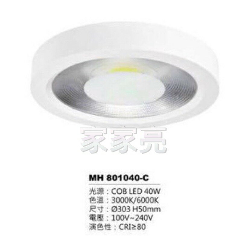 MARCH LED 40W 筒燈 白光 黃光 吸頂筒燈 40瓦 MH 801040-C (A Light)