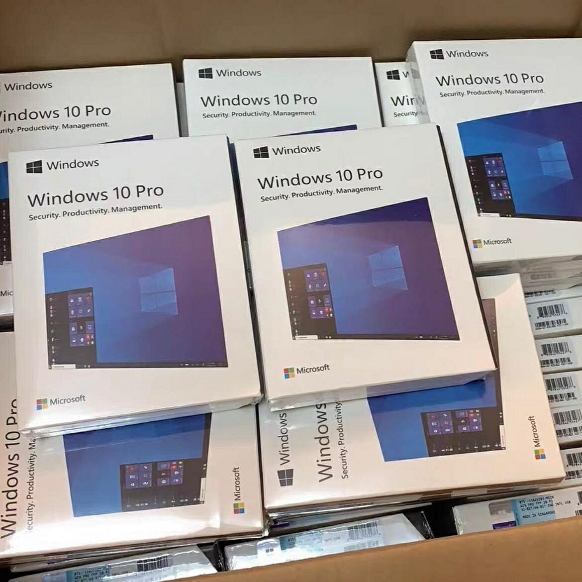 正版Win10專業版 Win11專業版 USB彩盒現貨 電腦系統重灌工具 企業個人辦公必備 快速安裝【微軟批發零售】