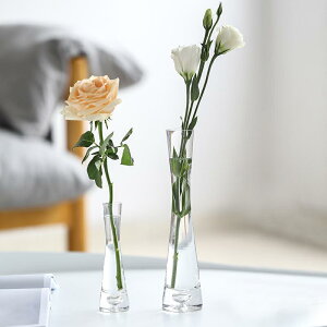 ,花瓶擺件客廳插花小北歐玻璃透明ins風迷你細口水培水養創意簡約