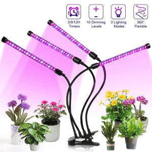 USB調光定時植物燈 兩頭 三頭植物燈 台式 夾子植物生長燈 多肉花卉生長燈