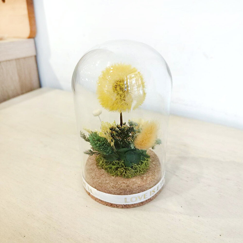 萩蒔花花藝x覓品竹北手作店-乾燥花x永生花創作橢圓玻璃花盅-幸福蒲公英-共2色 3
