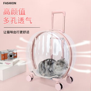供寵物貓包拉桿箱透明貓包外出便攜貓咪手提透明航空箱