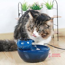 寵物飲水器 貓咪飲水器自動循環喂水器陶瓷貓喝水流動活水電動寵物用品飲水器T 雙十一購物節
