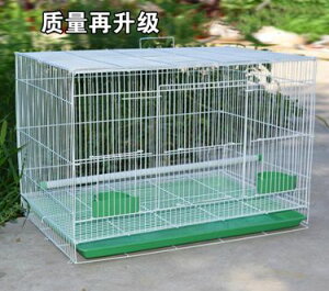鳥籠金屬鳥籠鴿子相思鳥籠子鸚鵡籠兔子籠通用鳥籠群籠繁殖籠 萬事屋 雙十一購物節
