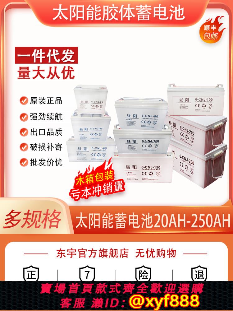 {公司貨 可打統編}太陽能專用鉛酸免維護蓄電池12V100AH家用光伏監控路燈太陽板電瓶