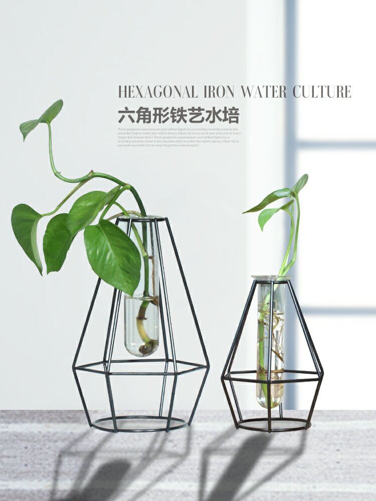 簡約幾何水培容器飄窗酒柜辦公桌擺件小清新綠蘿植物透明玻璃花瓶1入