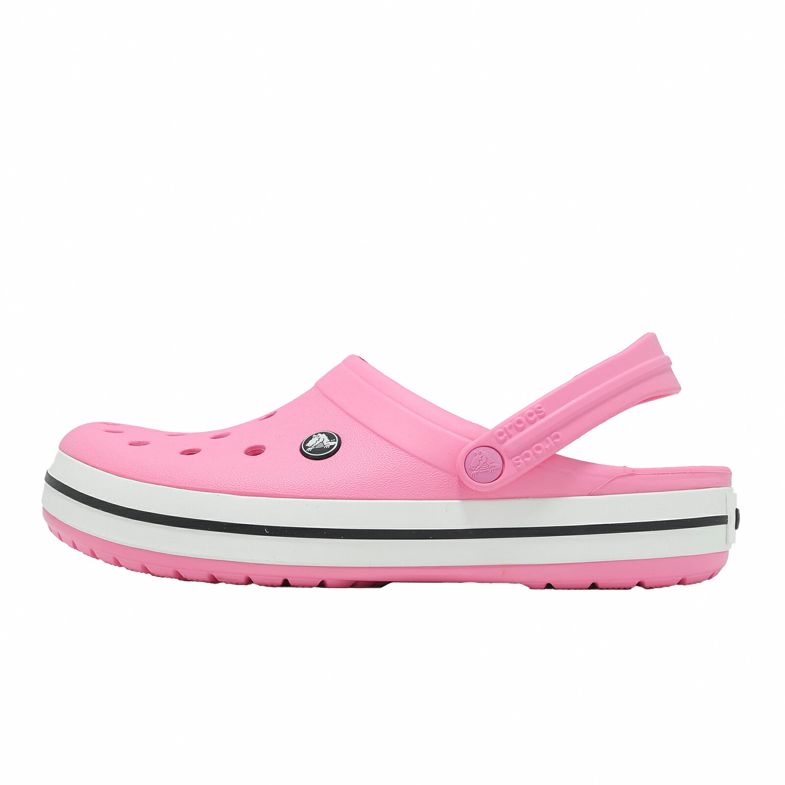 Crocs 洞洞鞋 洞洞鞋 Crocband 男鞋 女鞋 鶴紅 涼拖鞋 休閒鞋 卡駱馳 11016669