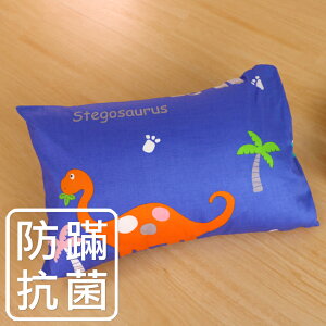 鴻宇 兒童枕 防蟎抗菌纖維枕 恐龍公園藍 美國棉授權品牌 台灣製1896