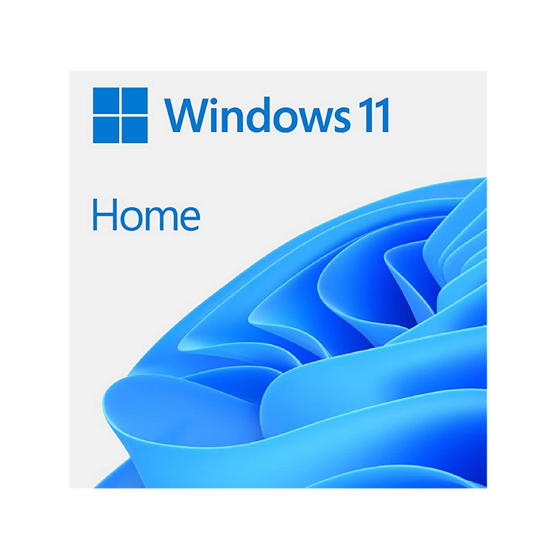 Windows 11 home 家用版