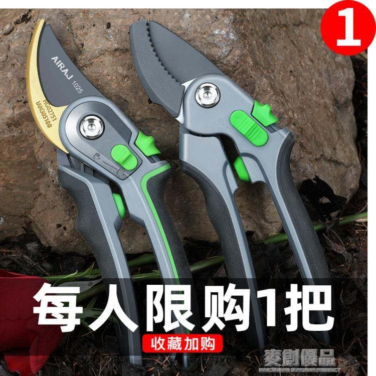 剪枝剪刀園藝剪樹枝修枝剪花剪園林省力花藝工具果樹修剪粗枝剪子 「宜家優選百貨」