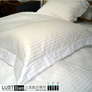 【LUST】五星級飯店專用-羽絨枕 /羽毛枕/100%純棉表布【可加購專用羽絨枕套】超取 (限一顆)