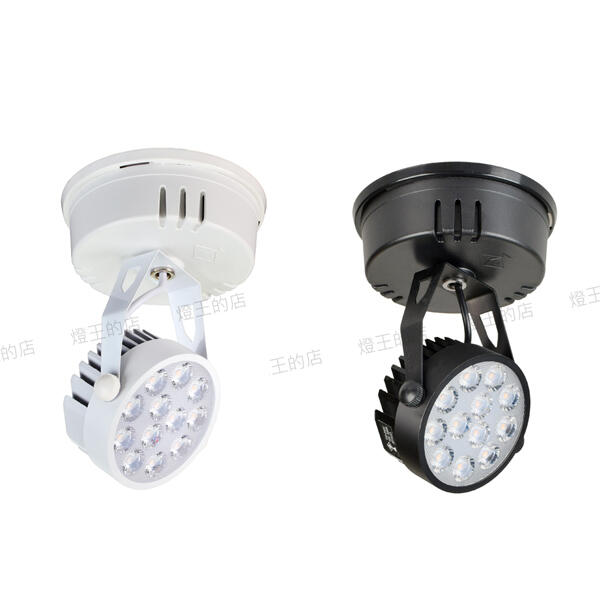 【燈王的店】LED 15W 吸頂燈 黃光3000K 自然光4000K 白光57000K 億光燈珠 白色TYL723-C / 黑色TYL723B-C