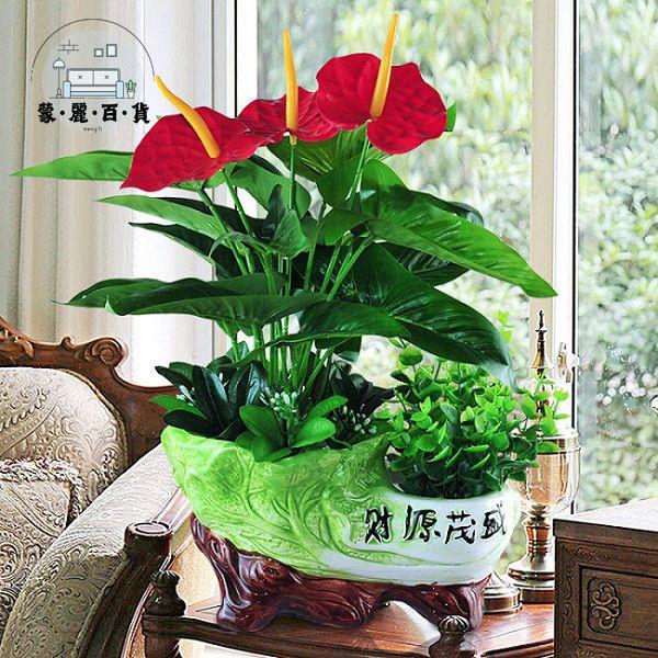 特惠/免運 工廠現貨 仿真花 假花 辦公室擺件 客廳裝飾 紅掌仿真植物 假花套裝 綠植花卉家居裝飾品 塑膠花客廳擺件 花藝盆景 可開發票 全館折扣 特惠/店長推薦 售後保障 m5523