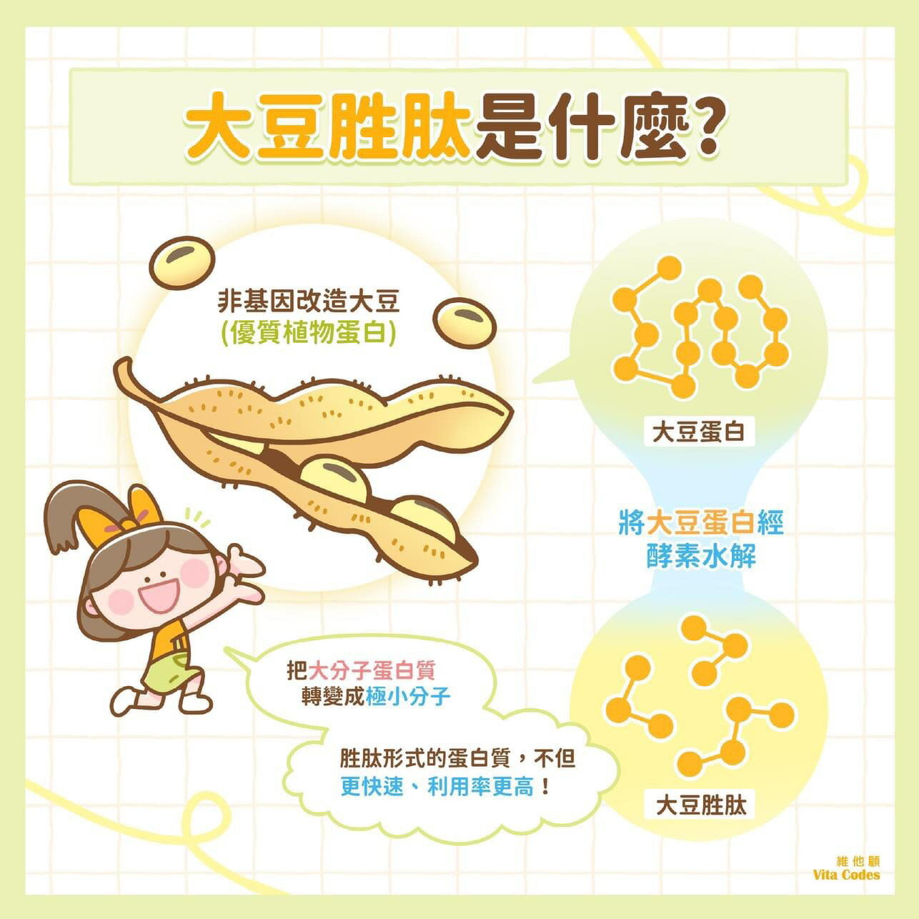 Vita Codes-大侑 大豆胜肽 群精華 450g 2