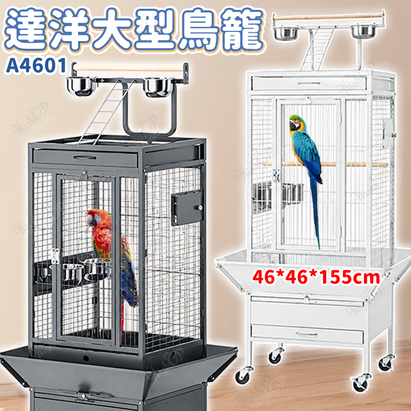 達洋 DAYANG 超大型鐵藝鳥籠 超大別墅鳥籠 大型鸚鵡鳥籠 金剛鸚鵡 達洋鳥籠 A4601【260909】