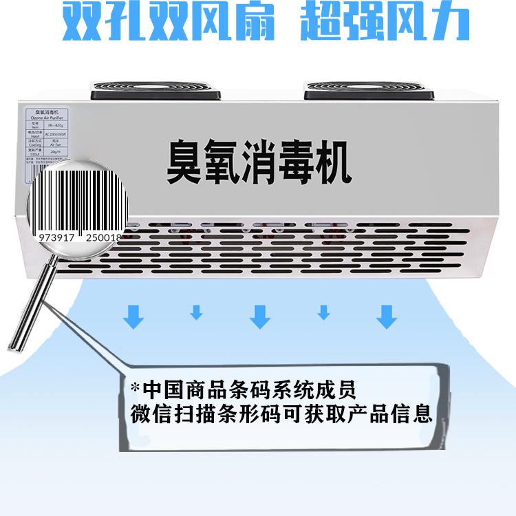 室內家用220V小型100mg臭氧空氣消毒臭氧發生器除味器殺菌衣物內