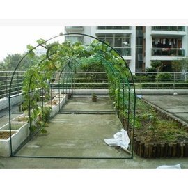 【植物爬藤瓜架-圓頂-L500*W200*H200cm-1套/組】樓頂種菜爬藤 菜架 攀藤架子 植物園藝支架-5101013