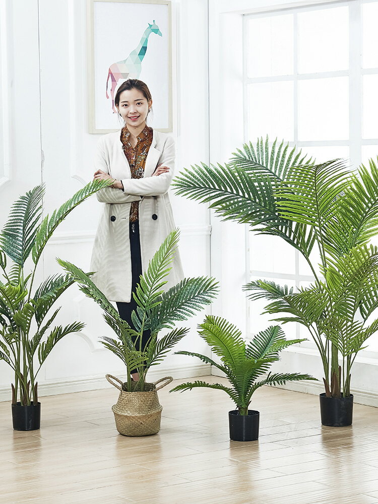 北歐模擬貴妃葵盆栽散尾葵假植物室內擺設綠植盆景家居客廳裝飾樹