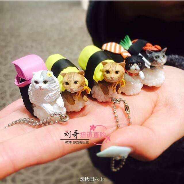 日版現貨 奇譚俱樂部 壽司貓 擺飾與掛件 貓咪后院扭蛋