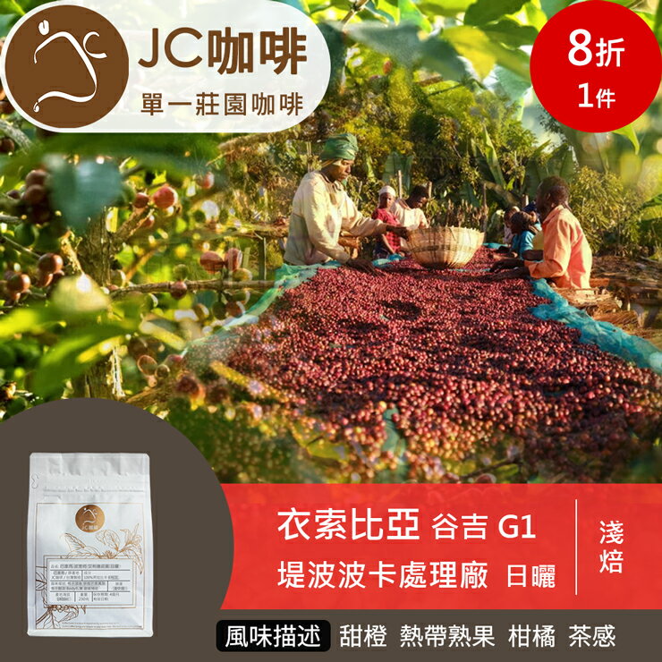 衣索比亞 谷吉 堤波波卡處理廠G1 日曬(水仙同名款 日曬版) 咖啡豆1包│淺焙【JC咖啡】半磅(230g) 莊園咖啡 新鮮烘焙