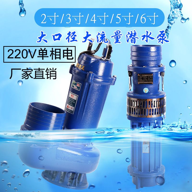 【詢價有驚喜】水王潛水泵6寸單相220V大口徑抽水泵大流量4寸5寸農用灌溉澆地QDX 4