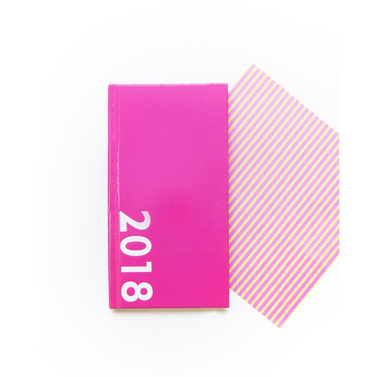 【Conifer綠的事務】2018年ColorDiary-48K玩色週誌-桃紅