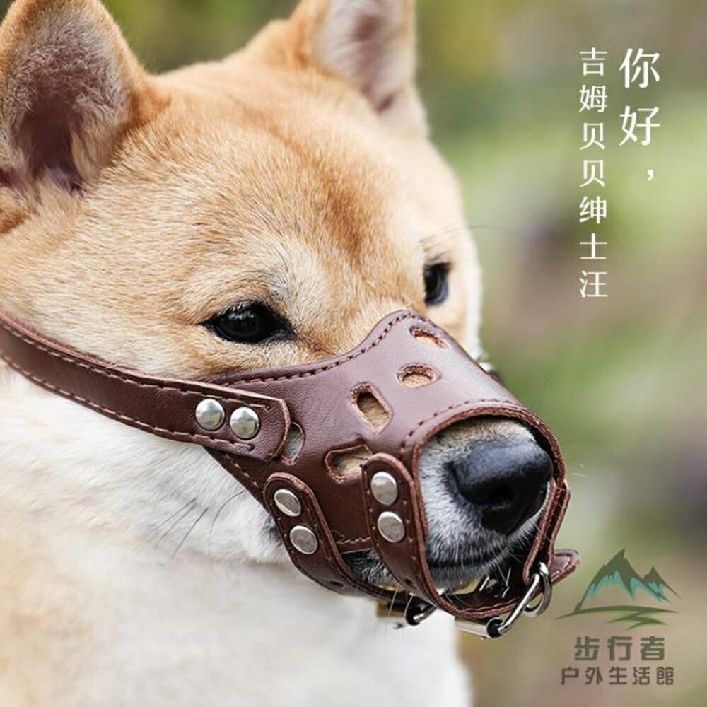 狗嘴套防咬防止狗叫狗口罩寵物小中大型犬嘴巴套 台灣樂天市場 Line購物