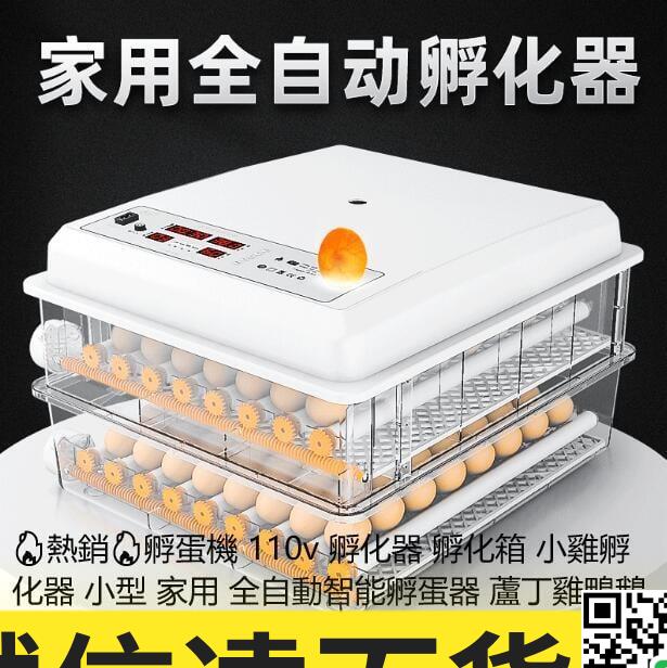 特賣🌸熱銷孵蛋機 110v 孵化器 孵化箱 小雞孵化器 小型 家用 全自動智能孵蛋器 蘆丁雞鴨鵝鴿子鵪鶉孵化箱