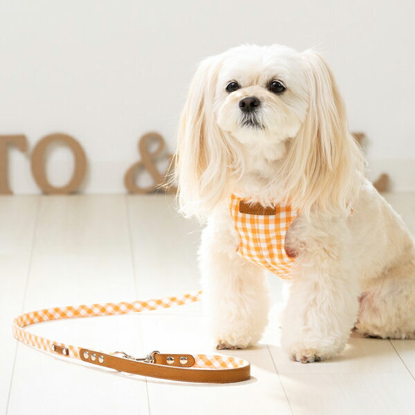 Toto&Pal 曼徹斯特格紋小胸背(預購)