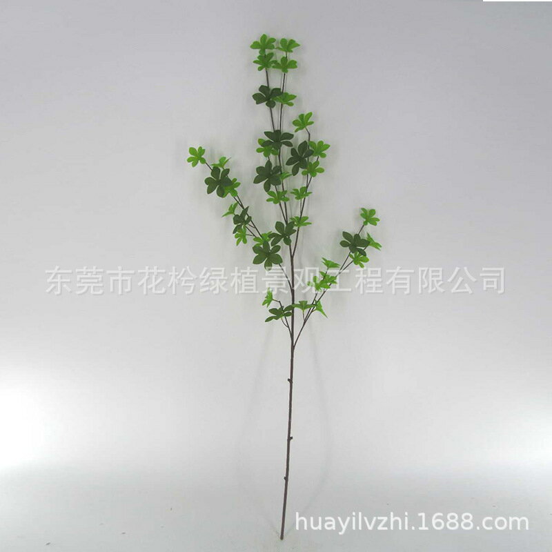 模擬吊鐘綠色植物樹枝插花乾枝 綠植葉子室內馬醉木假花樹葉