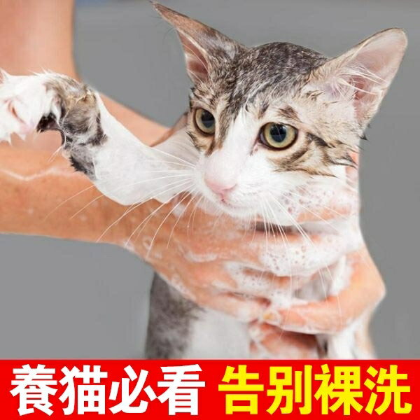 洗貓袋貓咪洗澡袋寵物剪指甲防抓固定貓包袋貓咪洗澡神器貓咪用品♠極有家♠