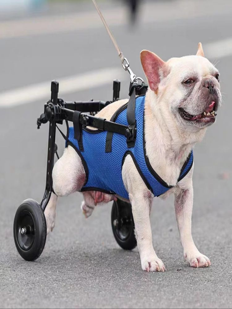 狗輪椅后肢癱瘓寵物代步車殘疾狗狗后腿輔助貓泰迪大型小型犬支架 森馬先生旗艦店