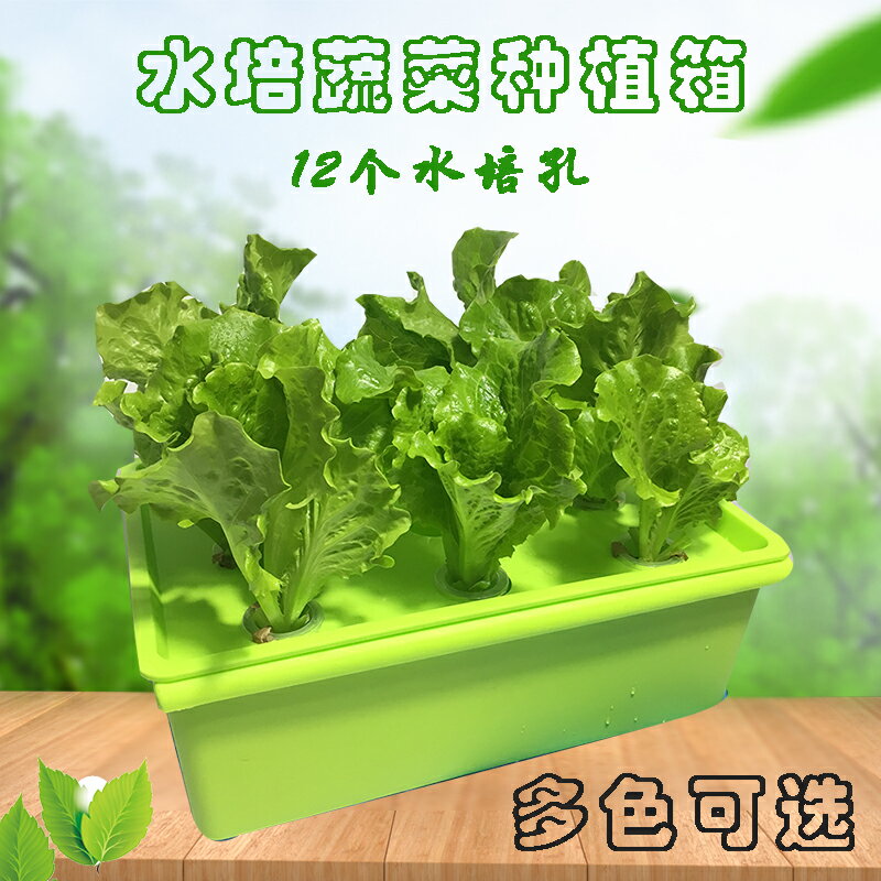 種菜盆 無土栽培蔬菜裝置家庭陽臺水培種菜機室內自動水耕種植箱塑膠花盆