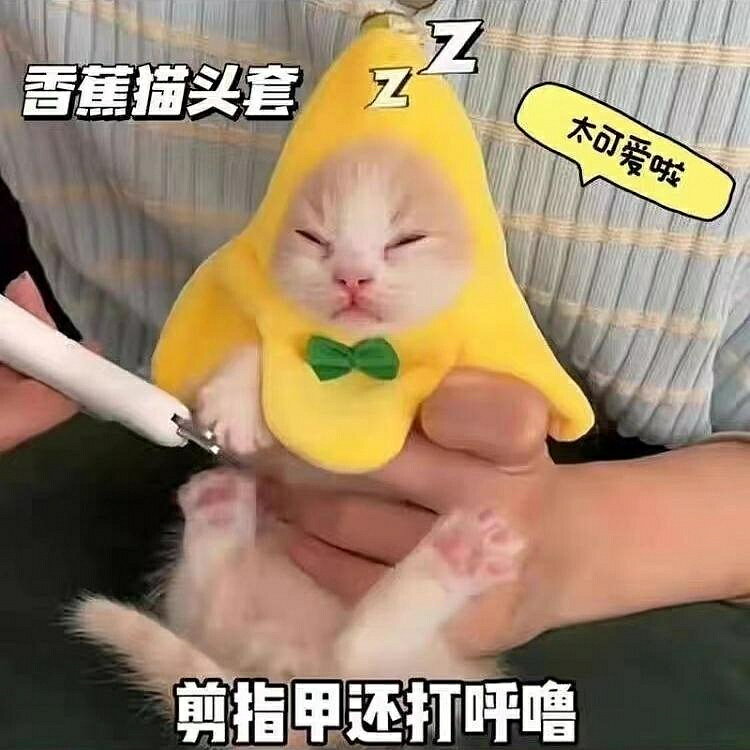 幼貓道具寵物服飾衣服香蕉熱門創意百搭配飾頭套可拆卸可愛玩偶服