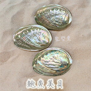 鮑魚美貝(微拋光) 鮑魚貝 鮑魚貝殼 ~可用來燒白鼠尾草或放置您的水晶及寶貝們 聖哲曼
