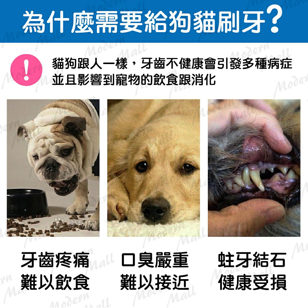 寵物牙刷【清新好口氣💎台灣現貨】指套牙刷 狗牙刷 貓牙刷 寵物潔牙 矽膠牙刷 毛小孩潔牙 寵物牙膏 寵物洗牙 1