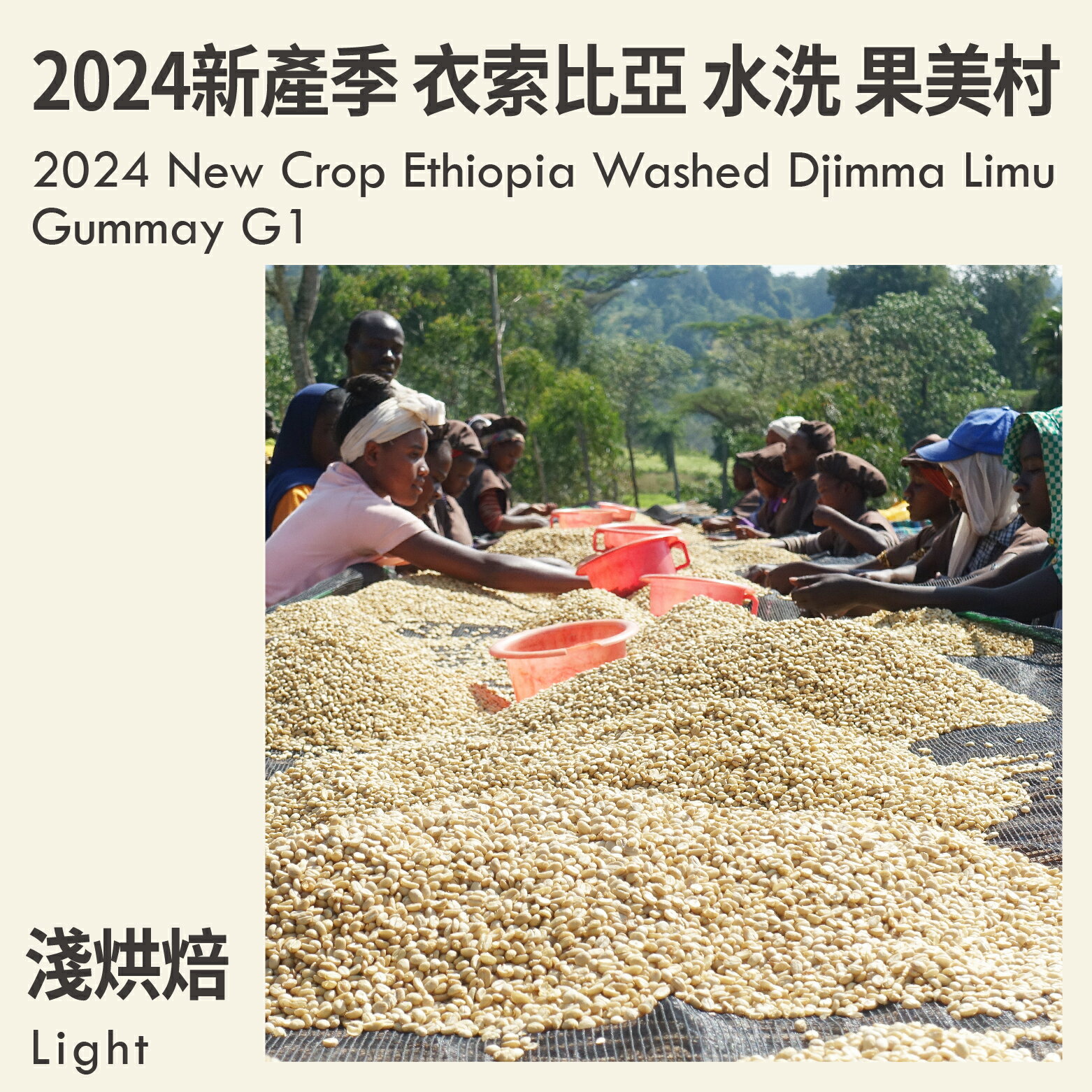 KaKaLove 咖啡-2024新產季 衣索比亞 水洗 吉瑪莉姆 果美村 G1 0.5磅