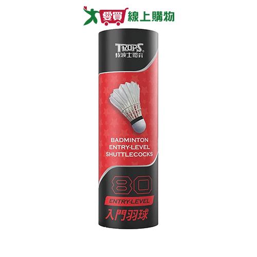 成功 特波士入門羽球12入 球類 運動 羽毛球【愛買】