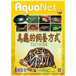 烏龜的飼養方式  AquaNet – 12 烏龜的飼養方式 烏龜 水龜 澤龜