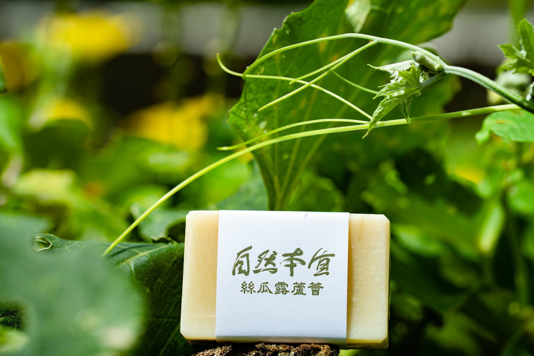 絲瓜露蘆薈皂 1