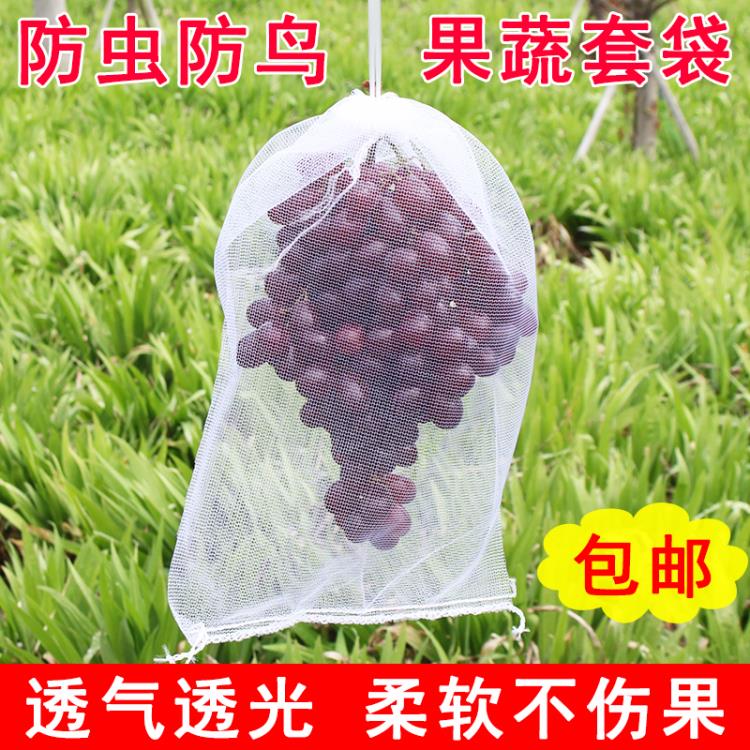 水果葡萄套袋防蟲防鳥白色紗網袋子透氣防果蠅套樹苗枇杷果樹網袋