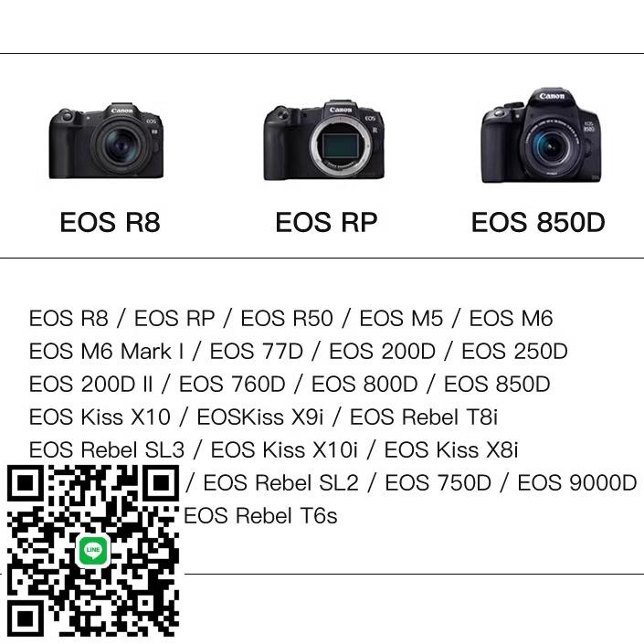 適用佳能單反相機lpe17電池200D二代R50 R10 RP 750D 800D 充電器